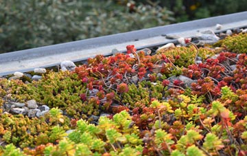 the cost of Samuels Corner green roof installation