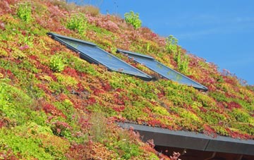 Samuels Corner living roof systems